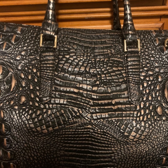 New Brahmin - Picture 4 of 9